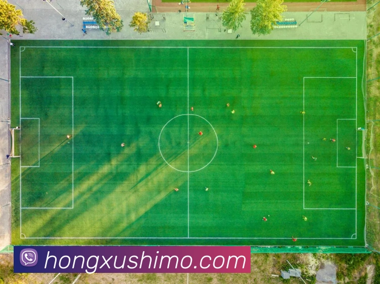 奖项证书